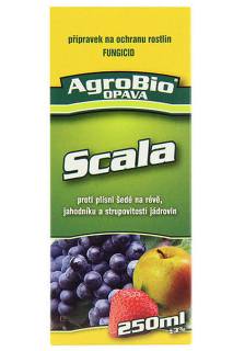 Scala 250 ml